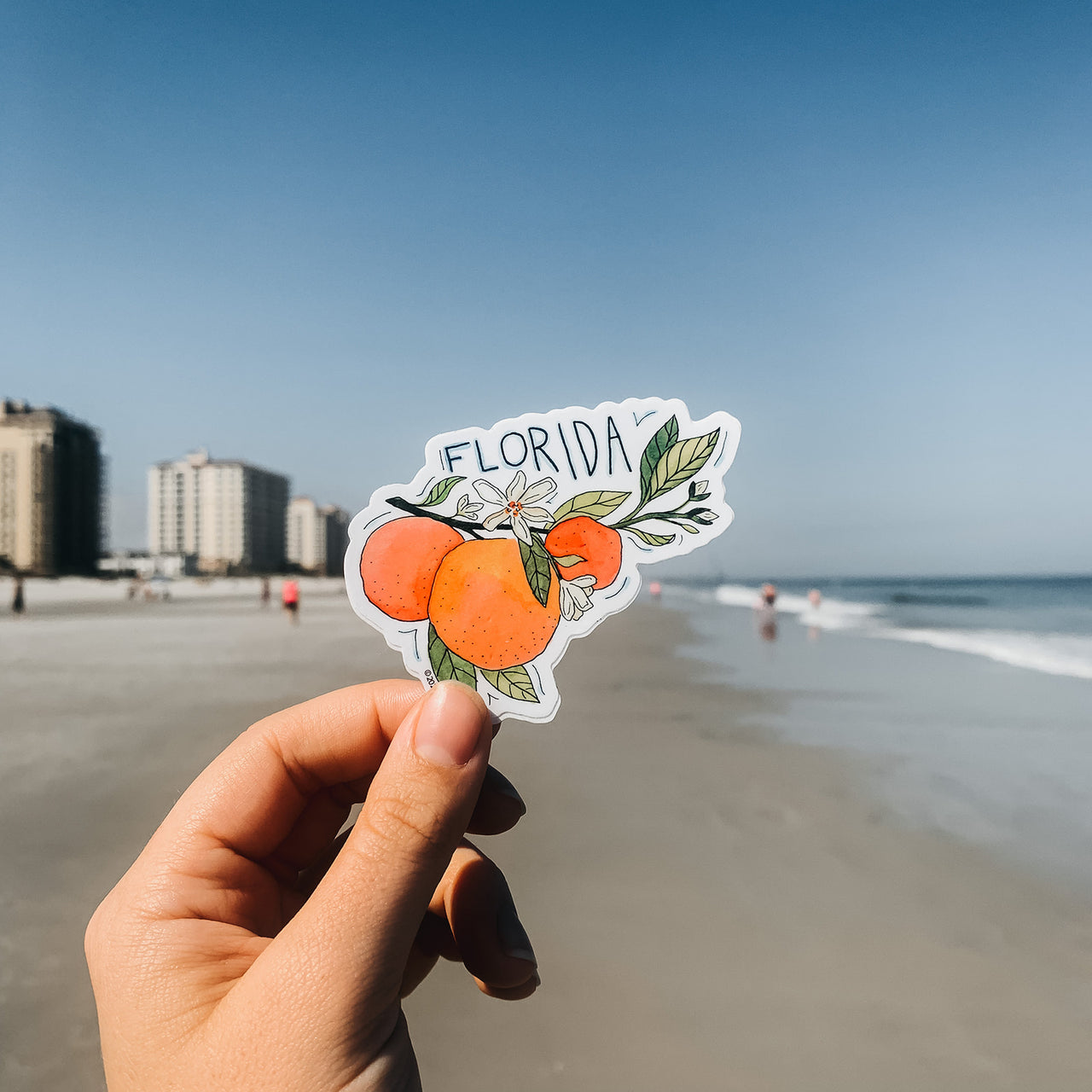 Florida Oranges Sticker